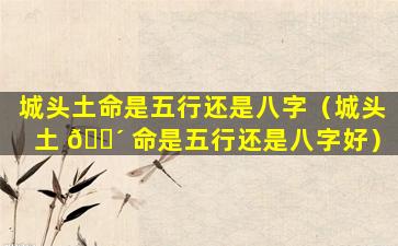 城头土命是五行还是八字（城头土 🐴 命是五行还是八字好）
